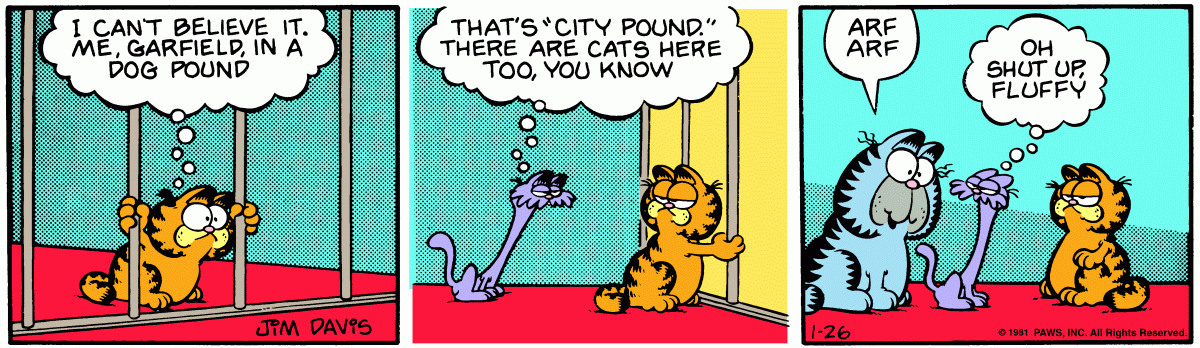 Garfield, January 26, 1981