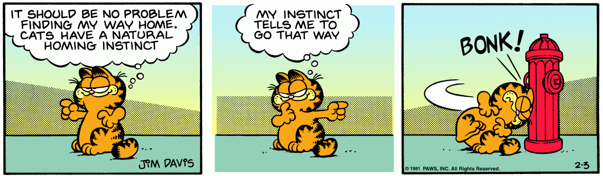 Garfield, February 3, 1981