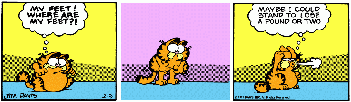 Garfield, February 9, 1981