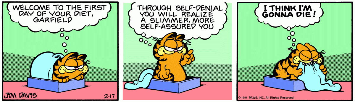 Garfield, February 17, 1981