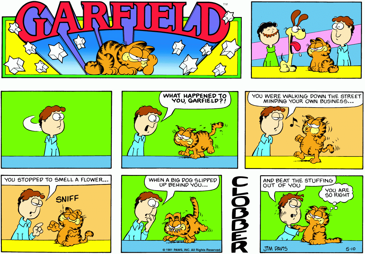 Garfield comic strip for Sunday, May 10, 1981