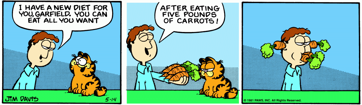 Garfield, May 14, 1981