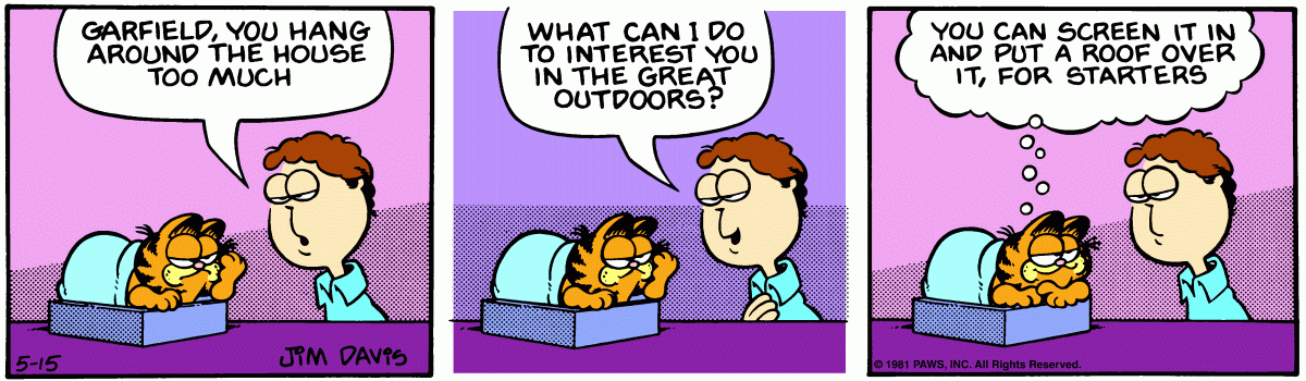 Garfield, May 15, 1981