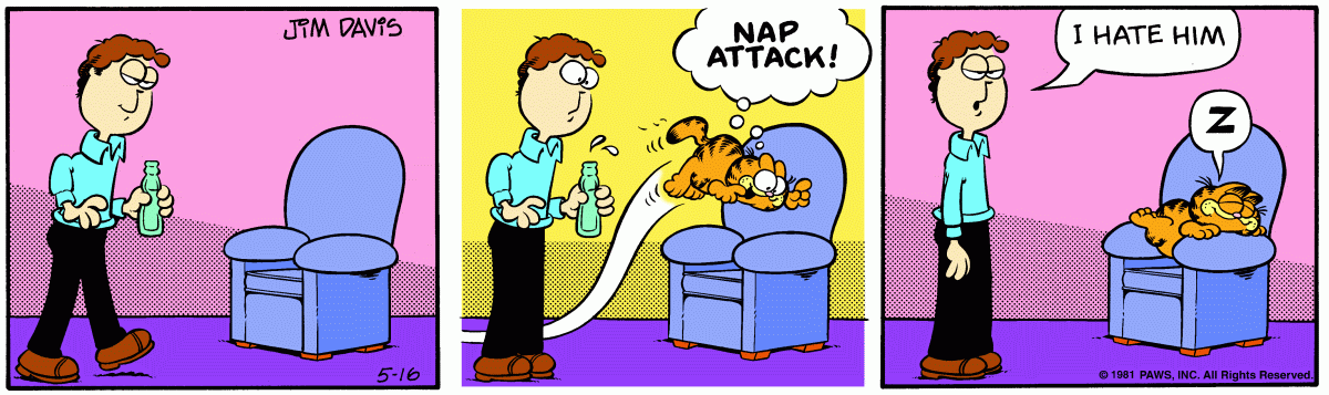 Garfield, May 16, 1981