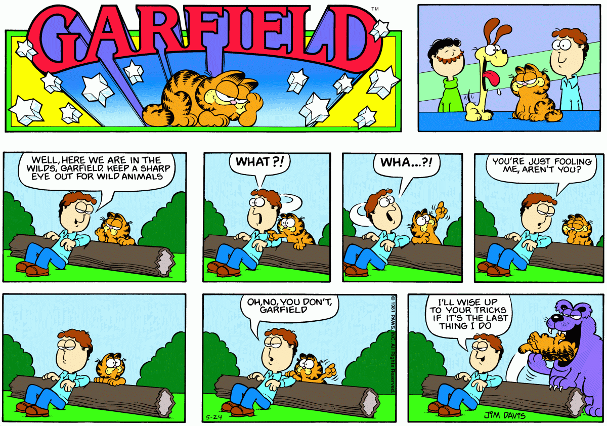 Garfield, May 24, 1981