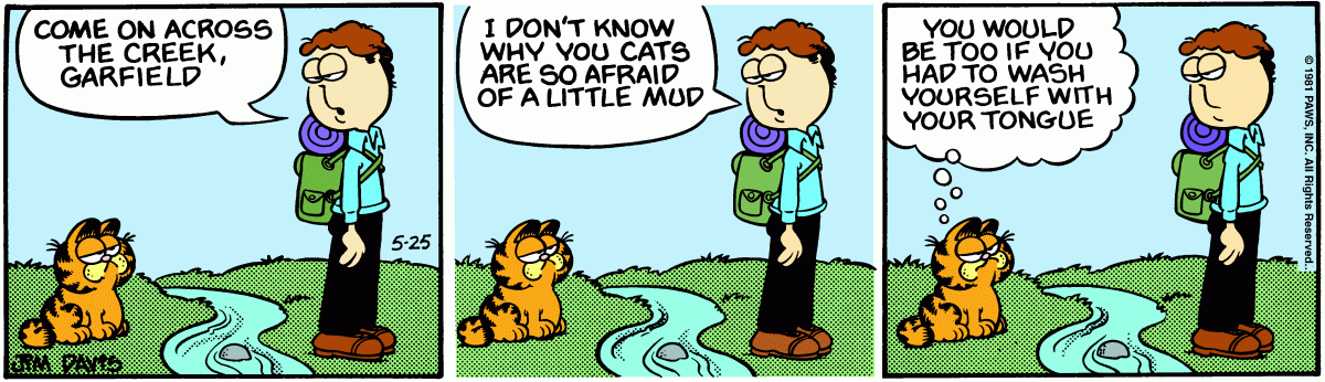Garfield, May 25, 1981