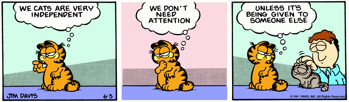 Garfield, June 3, 1981