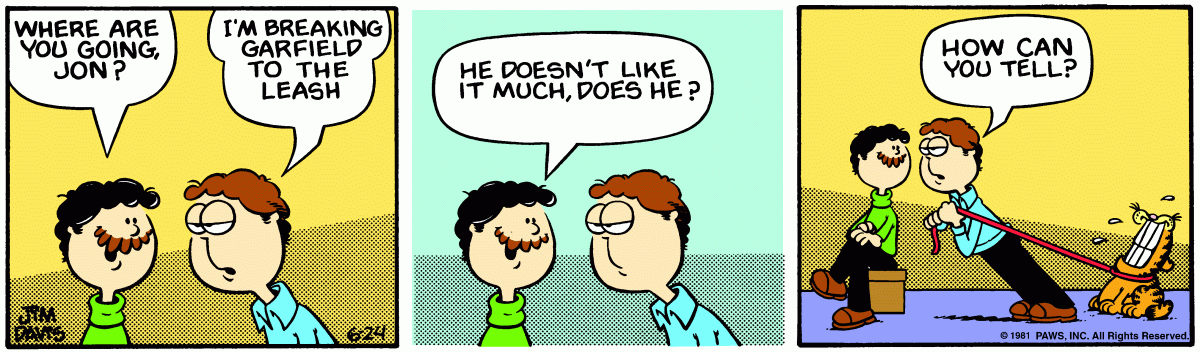 Garfield, June 24, 1981