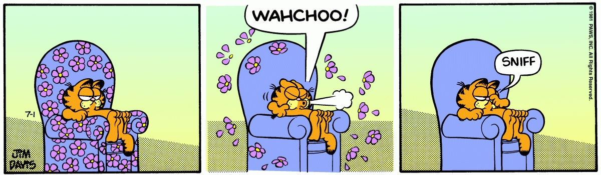 Garfield, July 1, 1981