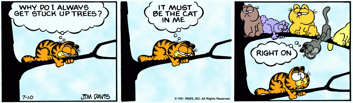 Garfield, July 10, 1981