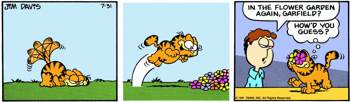 Garfield, July 31, 1981