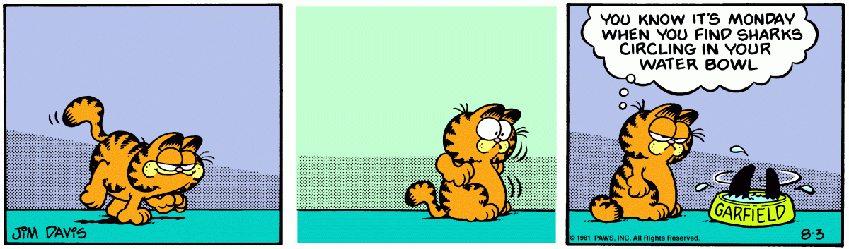 Garfield, August 3, 1981