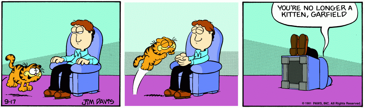 Garfield, September 17, 1981