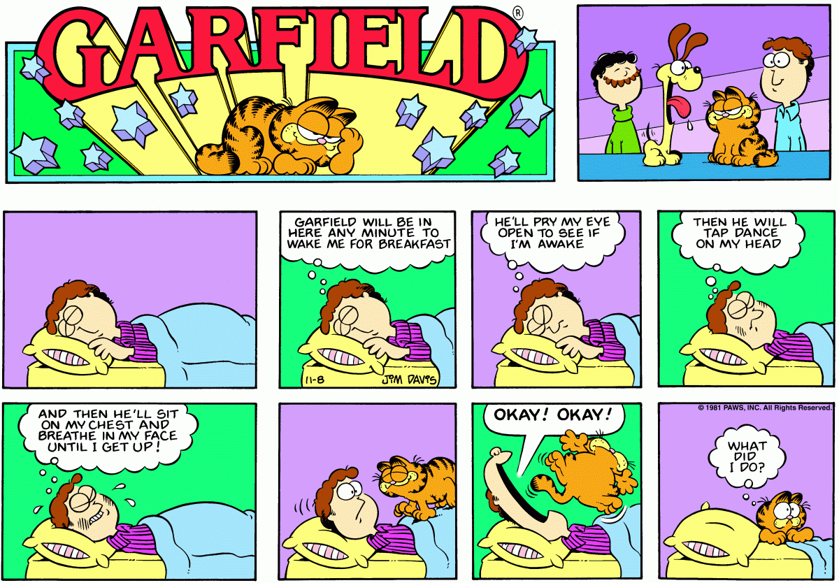 Garfield, November 8, 1981