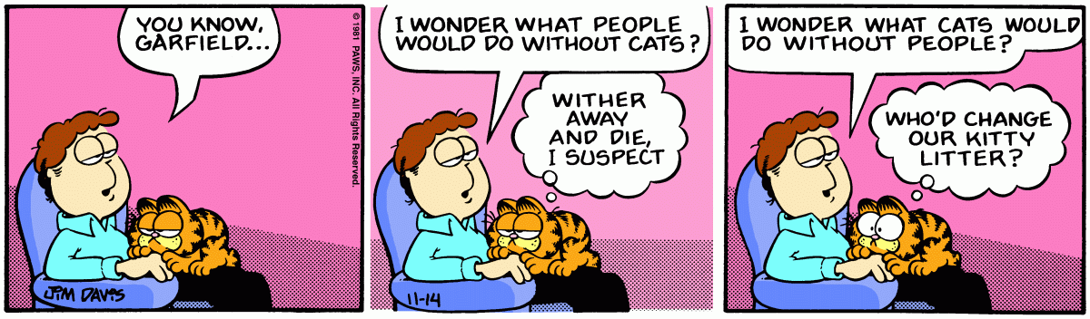 Garfield, November 14, 1981