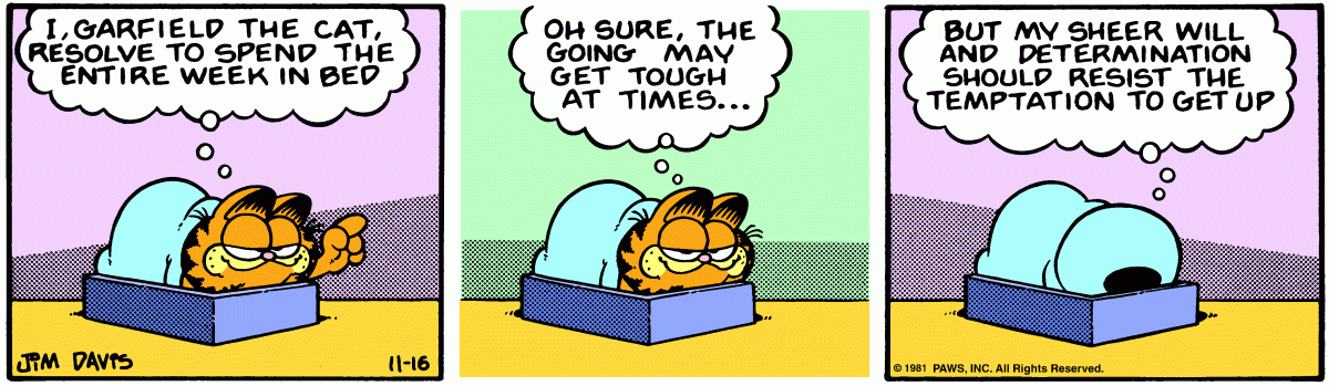 Garfield, November 16, 1981
