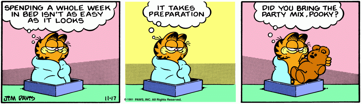 Garfield comic strip for Tuesday, November 17, 1981