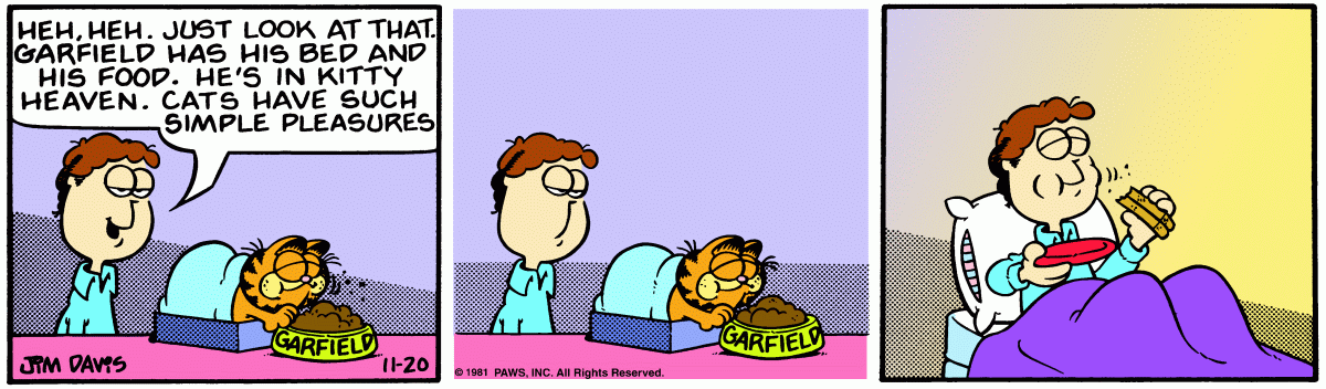 Garfield comic strip for Friday, November 20, 1981