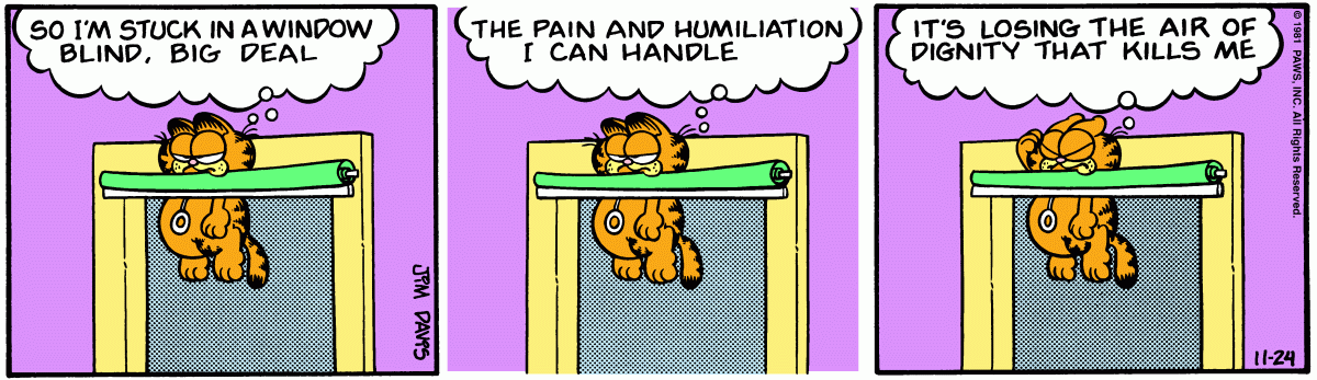 Garfield comic strip for Tuesday, November 24, 1981