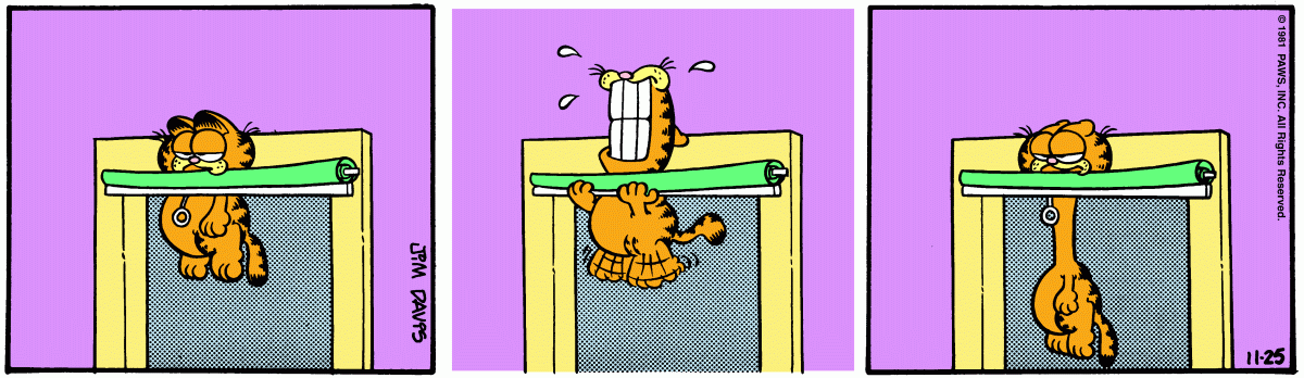 Garfield comic strip for Wednesday, November 25, 1981