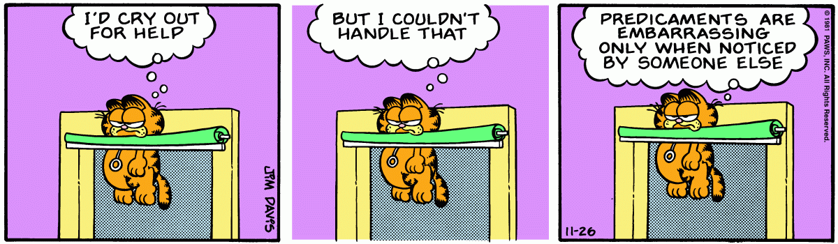 Garfield, November 26, 1981