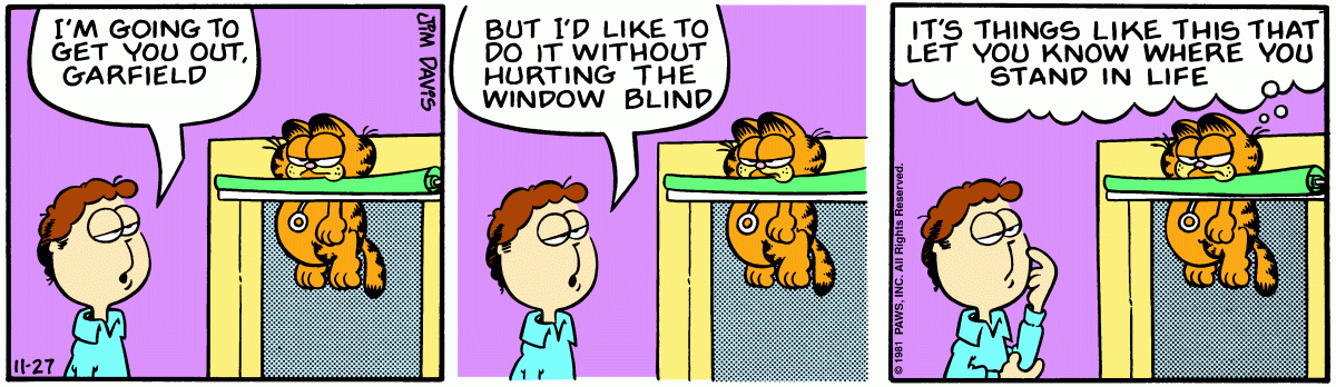 Garfield comic strip for Friday, November 27, 1981