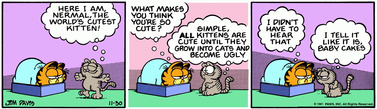 Garfield, November 30, 1981