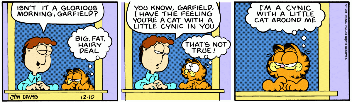 Garfield, December 10, 1981