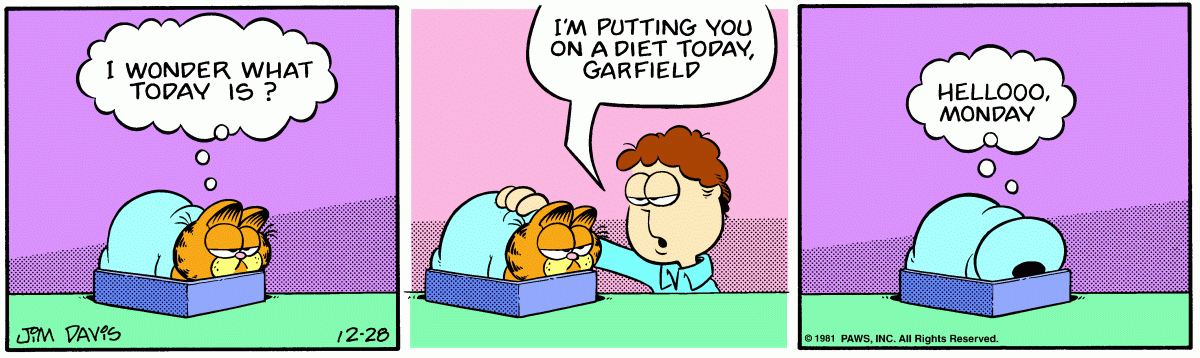 Garfield, December 28, 1981