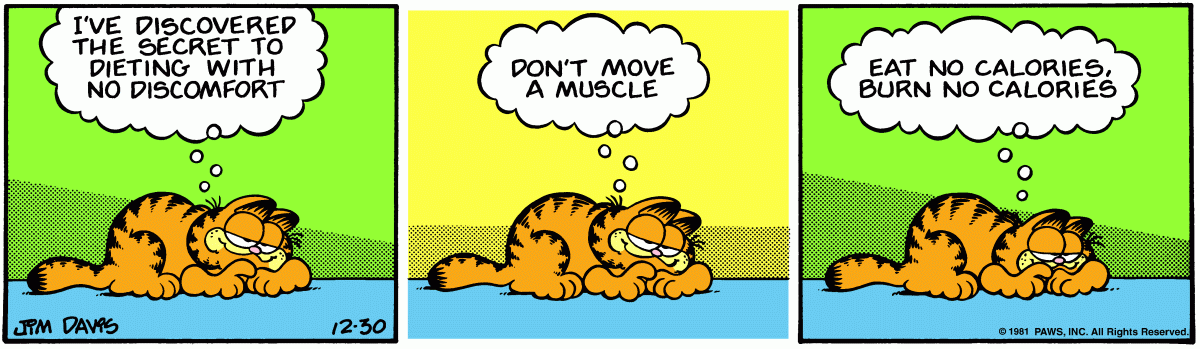 Garfield, December 30, 1981