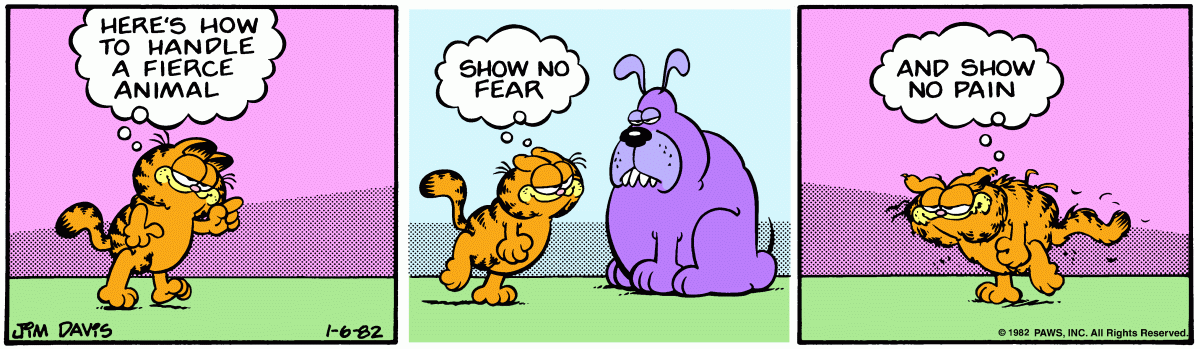 Garfield, January 6, 1982