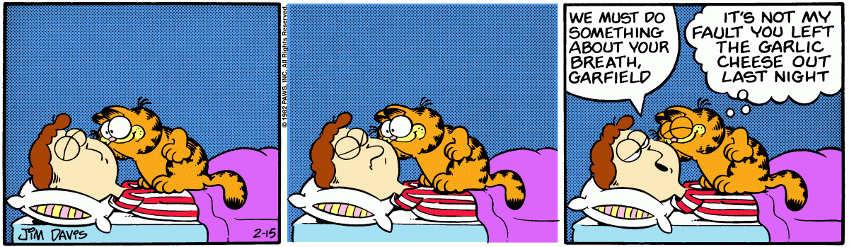 Garfield, February 15, 1982