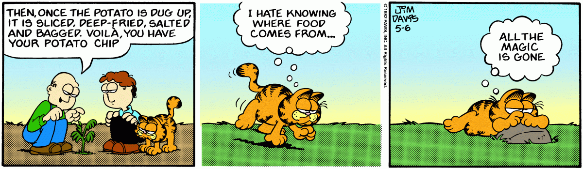 Garfield, May 6, 1982