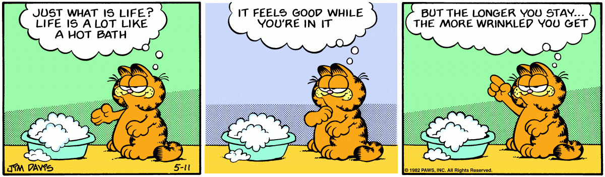 Garfield, May 11, 1982