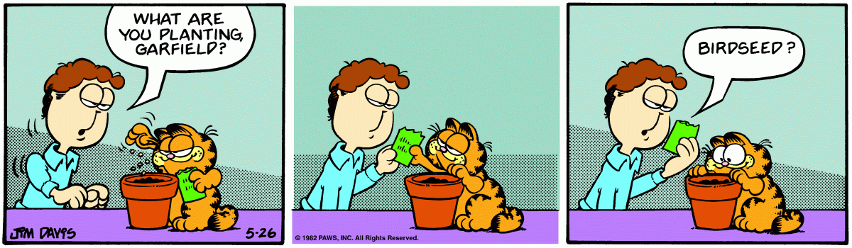 Garfield, May 26, 1982