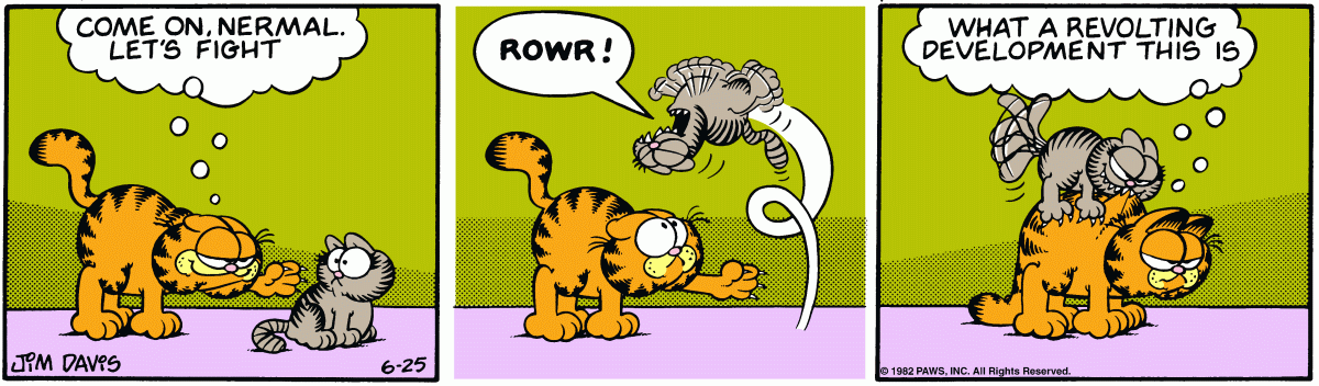 Garfield, June 25, 1982