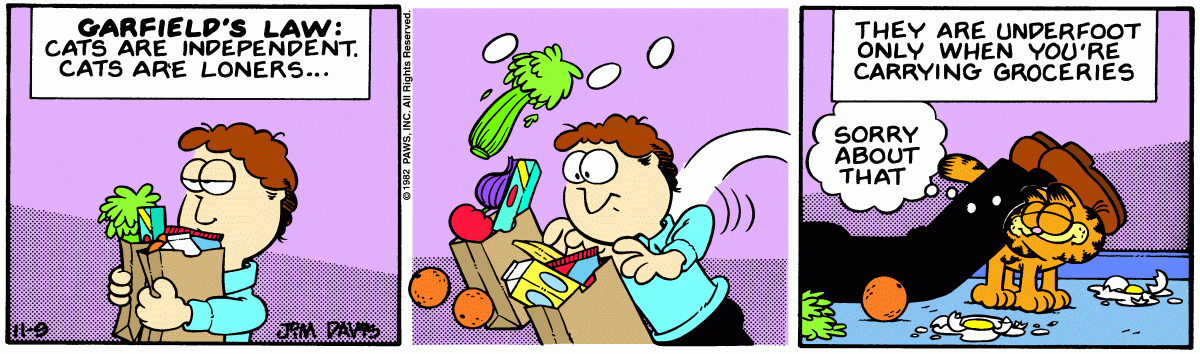 Garfield, November 9, 1982
