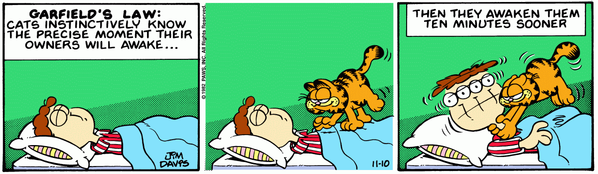Garfield, November 10, 1982