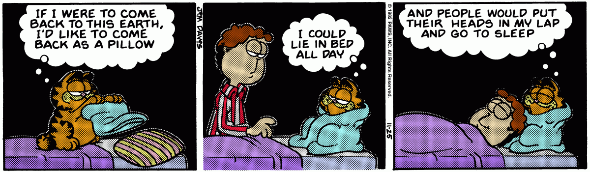 Garfield, November 25, 1982