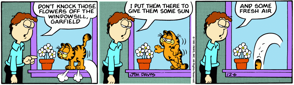Garfield, December 6, 1982