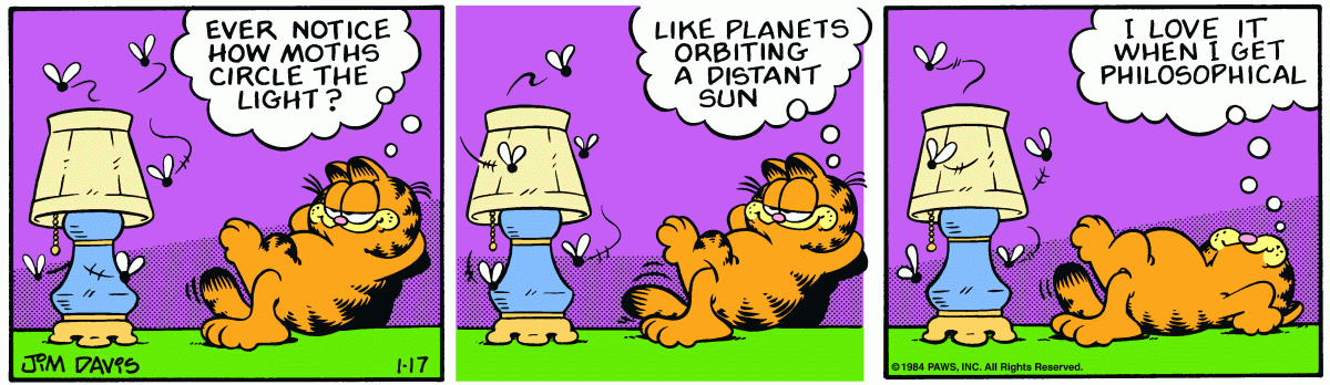 Garfield, January 17, 1984