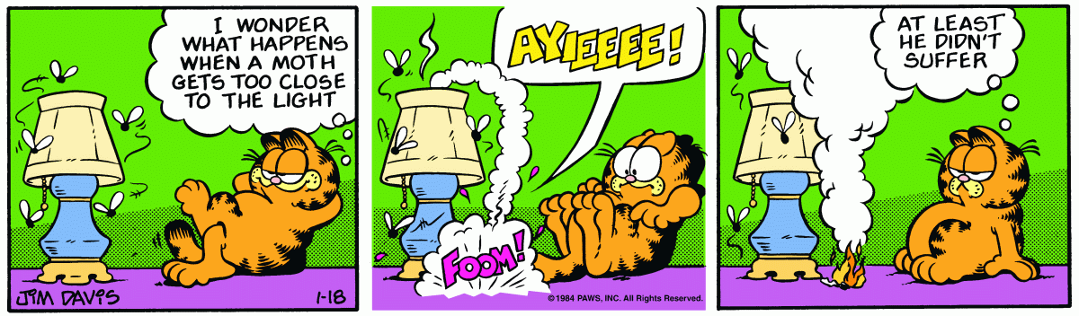 Garfield, January 18, 1984