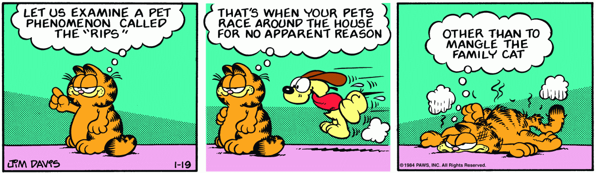 Garfield, January 19, 1984