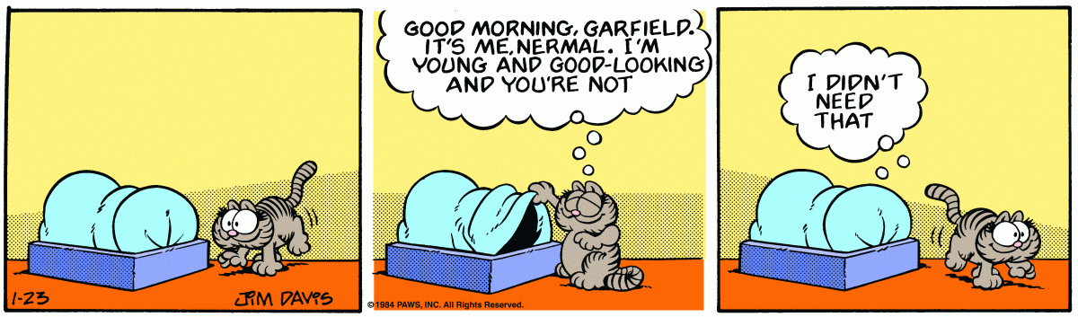 Garfield, January 23, 1984