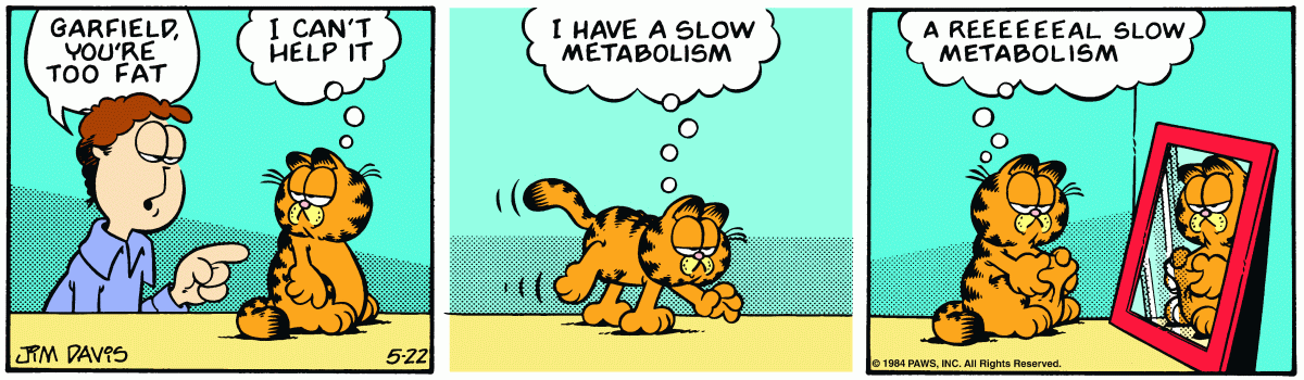 Garfield, May 22, 1984