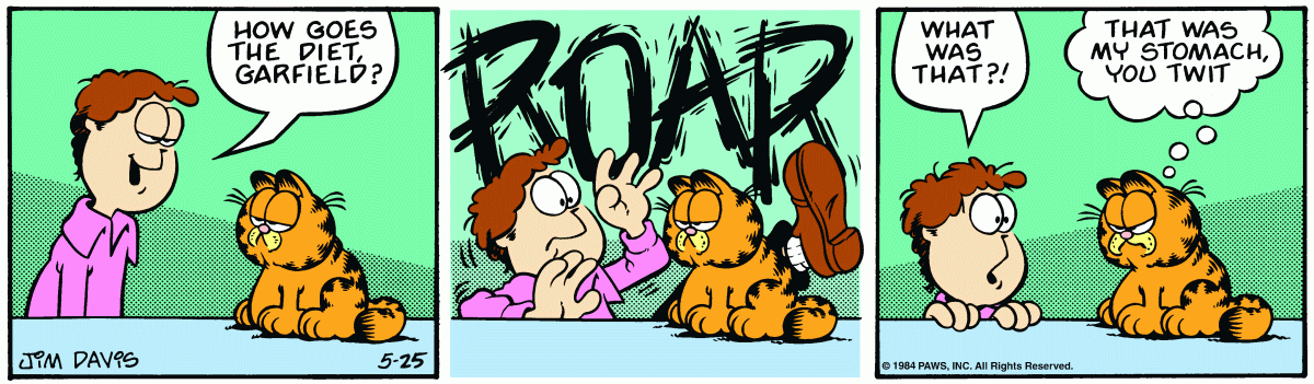 Garfield, May 25, 1984