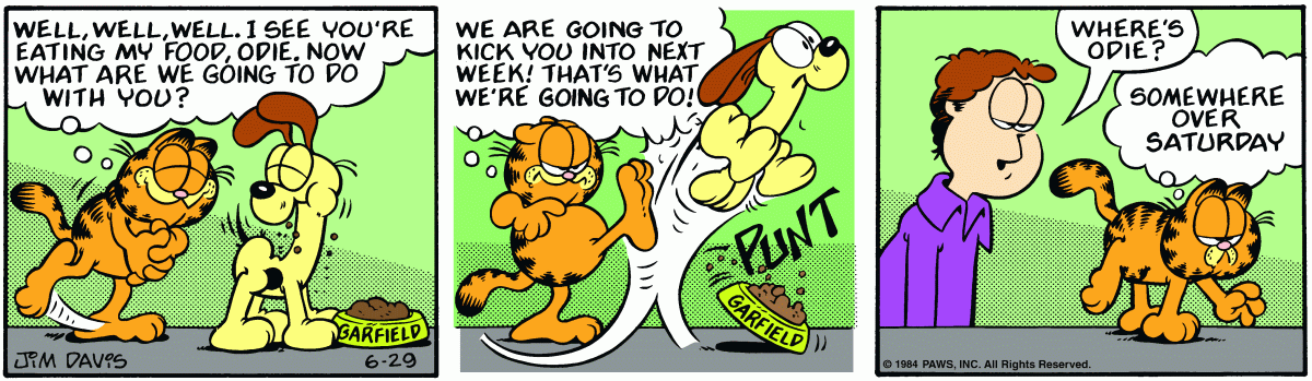 Garfield, June 29, 1984