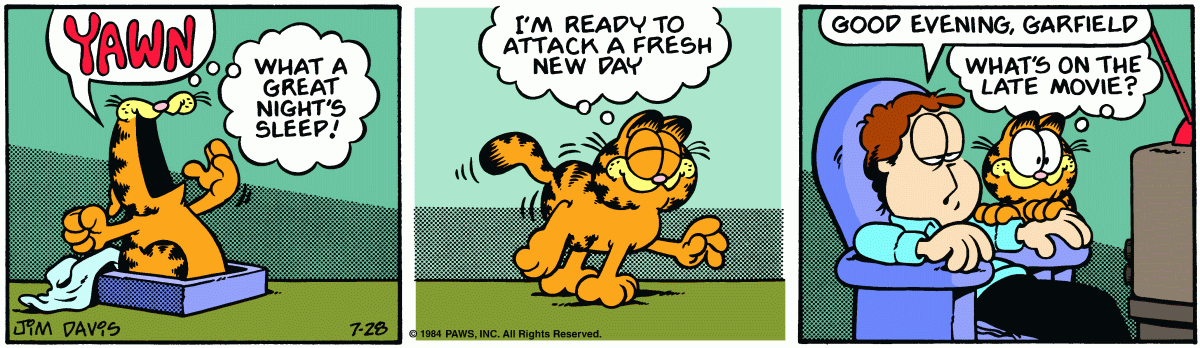 Garfield, July 28, 1984