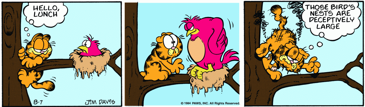 Garfield, August 7, 1984