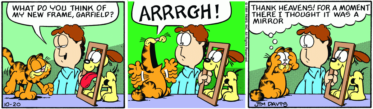 Garfield, October 20, 1984